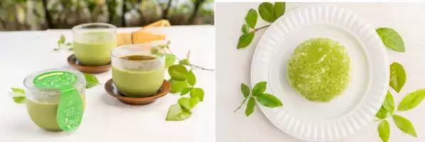 静岡・驚き！6kgを超える巨大抹茶大福付のデラックスパフェが4/10から登場　たまご専門店「TAMAGOYA」で丹那茶を使用した抹茶スイーツを堪能