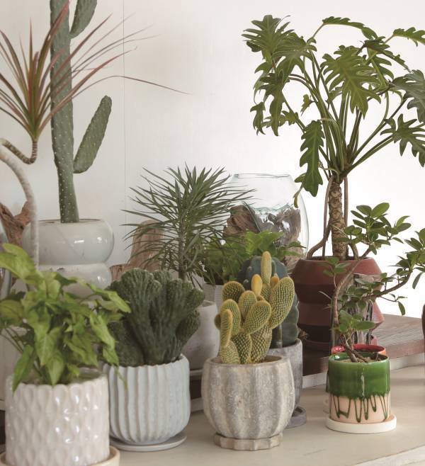 百“貨”店から新しい価値を提供する百“価”店へ近鉄百貨店各店　春の改装上本町店・東大阪店・草津店、andで順次改装オープン