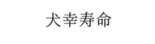 4月18日・良い歯の日に「犬幸寿命(R)」の商標権を解放　わんこの犬幸寿命(R)20歳を目指しデンタルケアブランドを設立