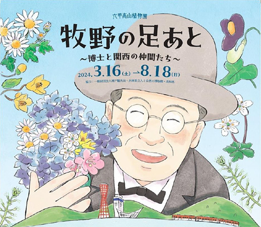 六甲高山植物園『牧野の足あと ～博士と関西の仲間たち～』～8月18日(日)まで好評開催中牧野博士と関西の仲間たちがカラー画像でよみがえる！