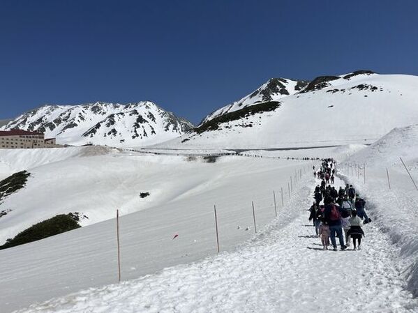 富山県と長野県とを結ぶ立山黒部アルペンルート、4月15日(月)に全線開通！今年の雪の大谷の高さは14m！