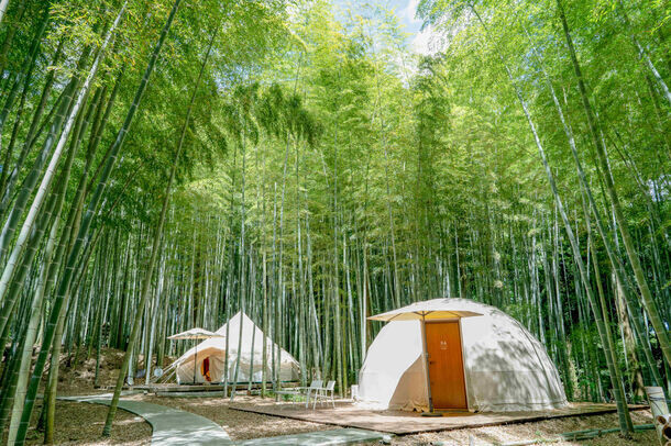 毎年恒例！動物園×グランピングのTHE BAMBOO FOREST　キリンと朝食がとれるオプション 24年度の営業を開始