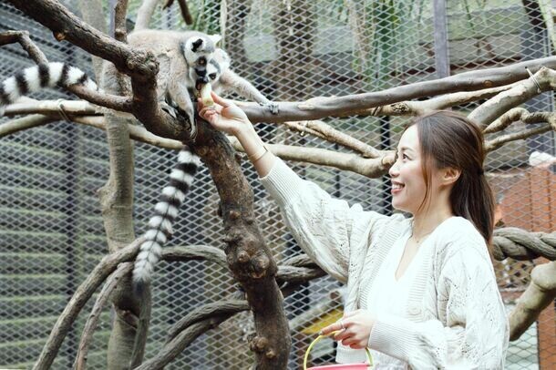 毎年恒例！動物園×グランピングのTHE BAMBOO FOREST　キリンと朝食がとれるオプション 24年度の営業を開始