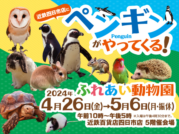 近鉄四日市店にペンギンがやってくる！ふれあい動物園