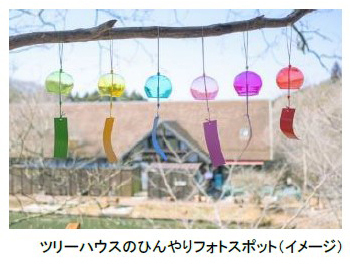 ROKKO森の音ミュージアム イベント30th Anniversary避暑地でひんやり 森の音サマーフェア市街地から5℃ほど涼しくリゾート気分 2024年7月1日（月）～8月23日（金）