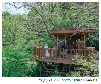 ROKKO森の音ミュージアム イベント30th Anniversary避暑地でひんやり 森の音サマーフェア市街地から5℃ほど涼しくリゾート気分 2024年7月1日（月）～8月23日（金）