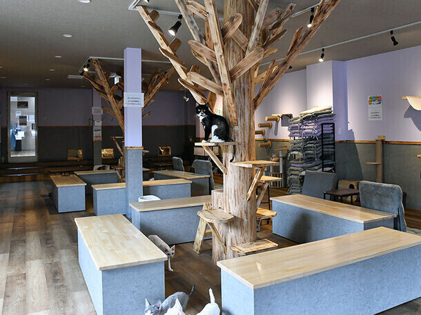 大阪コリアタウンに美・食・癒しの複合施設　『KTプラザ』が4月25日にグランドオープン！