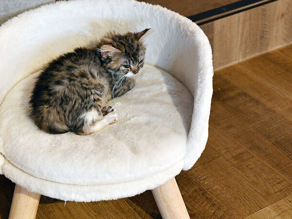 大阪コリアタウンに美・食・癒しの複合施設　『KTプラザ』が4月25日にグランドオープン！