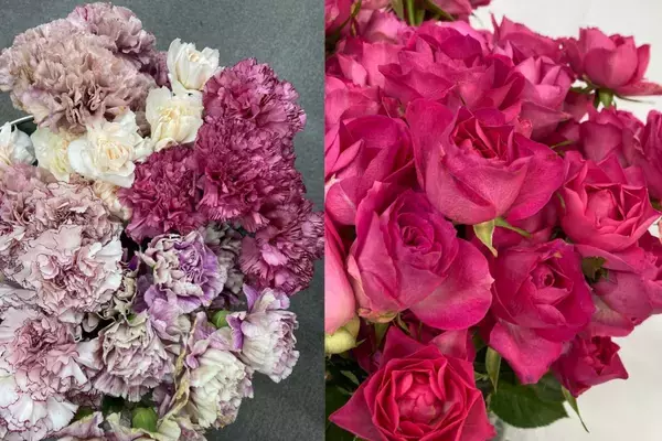 「使用済みの花」を再利用した環境配慮型商品が誕生！三陽商会の『S.ESSENTIALS』と日比谷花壇が協業。