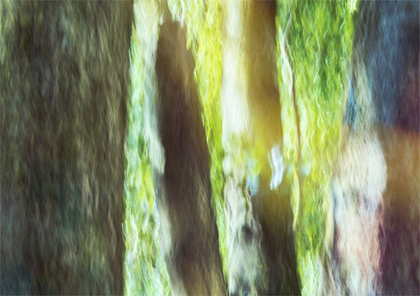 樹々やそれらを育む環境にフォーカスしたインセンスシリーズ「BREATHING TREES」第一弾が4月25日発売