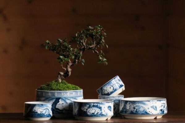 東海三県の陶磁器(やきもの)が愛知県に集結！「器と暮らし市 vol.5」をあいち健康の森公園で6月1日・2日開催