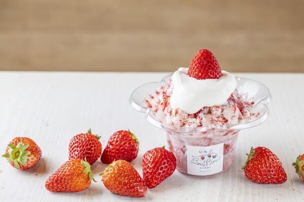 ＜いちご専門店＞いちごBonBonBERRYにて静岡県産いちごを削ったかき氷「けずりいちごおり」が販売開始！カフェ限定新作かき氷も登場