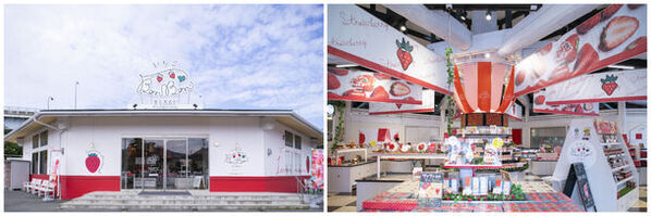 ＜いちご専門店＞いちごBonBonBERRYにて静岡県産いちごを削ったかき氷「けずりいちごおり」が販売開始！カフェ限定新作かき氷も登場