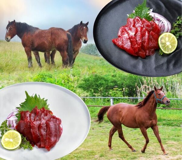 YouTuberヒカルプロデュース企画　「冗談抜きで旨い馬刺し」での協業を発表