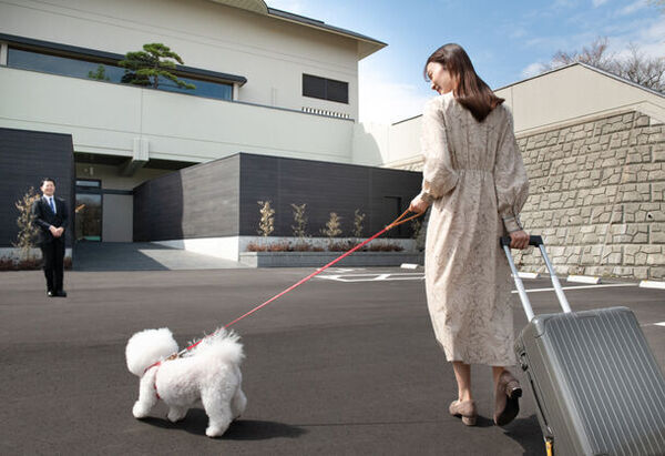 ドッグフレンドリーな上質宿、「R with dog(アールウィズドッグ)」先行予約開始
