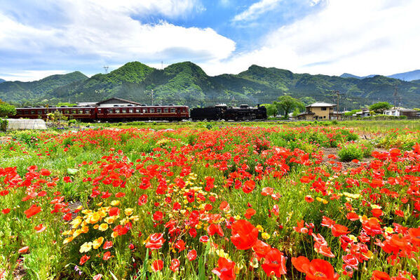 蒸気機関車C58363製造80周年記念　4月27日(土)からスタンプラリー開催