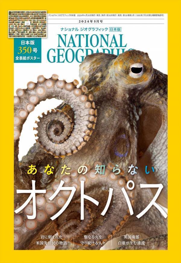 【おかげさまで350号！全表紙ポスター付き】ナショナル ジオグラフィック日本版　2024年5月号