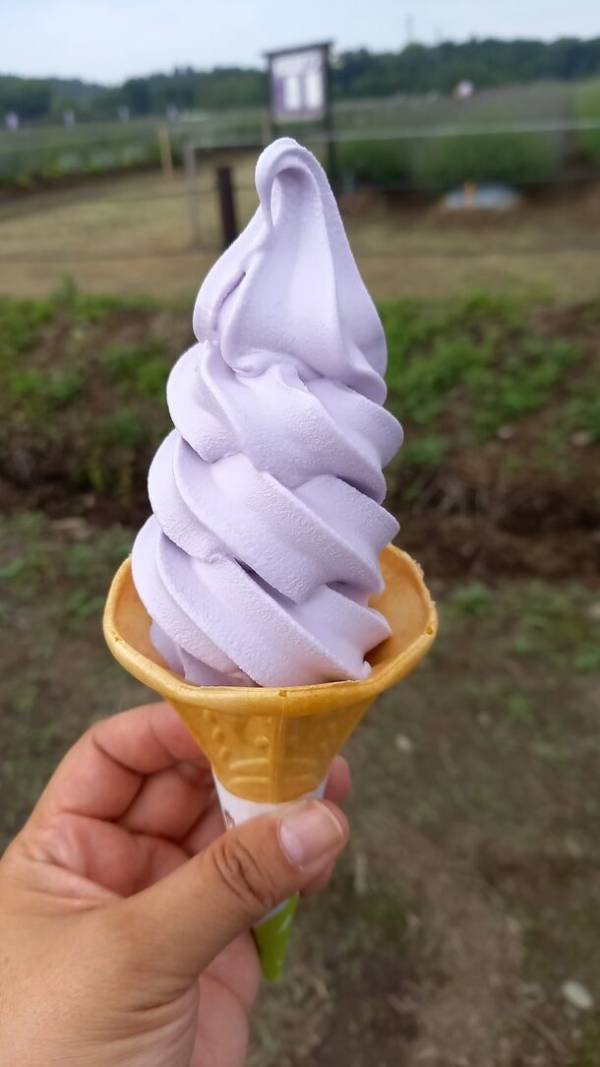 見て触れて香りを持ち帰ることができるイベント『らんざんラベンダーまつり』千年の苑ラベンダー園内で6/7～開催