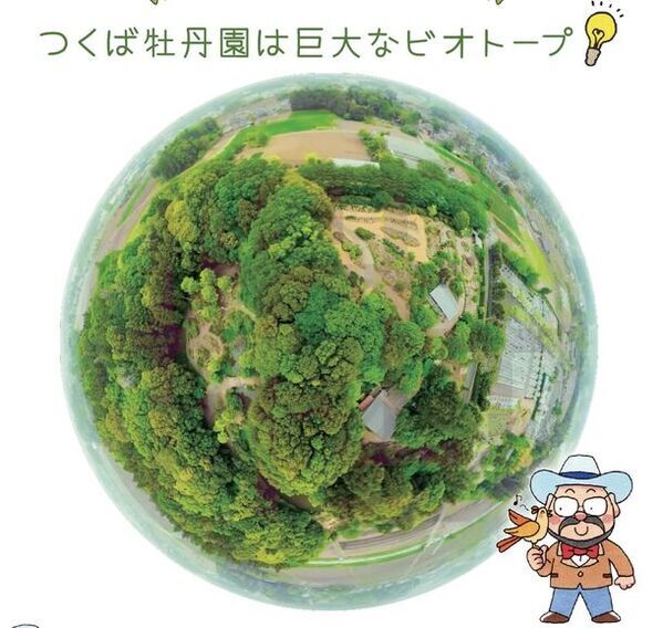 牡丹とシャクヤクの共演「つくば牡丹園」　ゴールデンウィークの「PEONY GARDEN 2024」