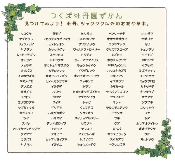 牡丹とシャクヤクの共演「つくば牡丹園」　ゴールデンウィークの「PEONY GARDEN 2024」