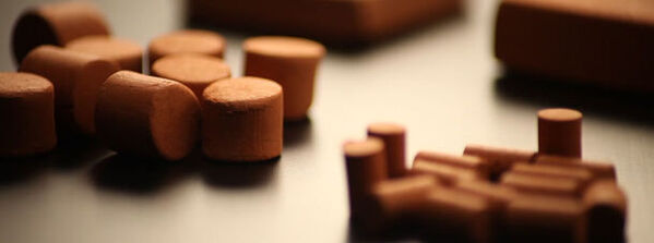 少年と猫の時空を超えた冒険物語開発製品の思いを伝える本に大人絵本『いのちは輝くようにできている』発売