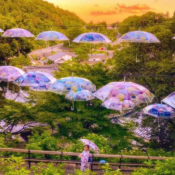 京都最大規模！花手水発祥の地「柳谷観音」にて約5,000株が咲き誇る「あじさいウイーク」6/1～6/30まで開催