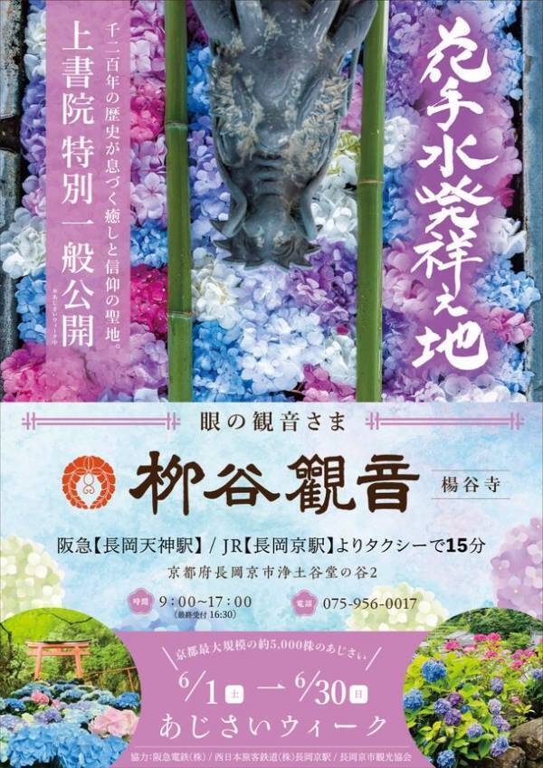 京都最大規模！花手水発祥の地「柳谷観音」にて約5,000株が咲き誇る「あじさいウイーク」6/1～6/30まで開催