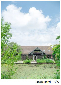 ROKKO森の音ミュージアム 夏イベント30th Anniversary 森の音フェス2024年7月13日（土）、14日（日）、15日（月・祝）、20日（土）、21日（日）