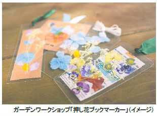 ROKKO森の音ミュージアム 夏イベント30th Anniversary 森の音フェス2024年7月13日（土）、14日（日）、15日（月・祝）、20日（土）、21日（日）