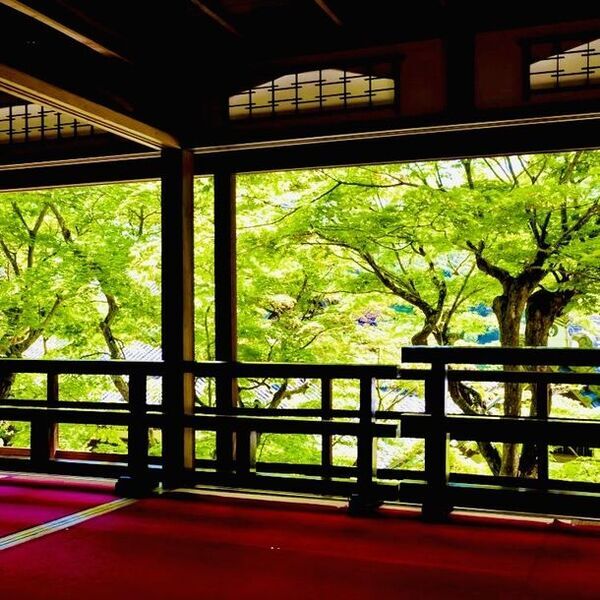 GWイベント[新緑ウィーク]京都「柳谷観音」開催4/27(土)～5/6(月・祝)