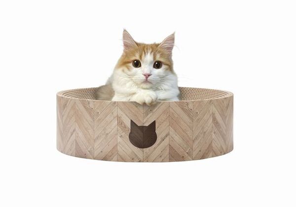 猫壱の食器「ハッピーダイニング」誕生から10周年　感謝の気持ちを込めて今年はキャンペーンを続々実施　第一弾は、猫壱初！世界に一つだけ「うちの子写真＆名前入り特製バリバリボウル」プレゼント