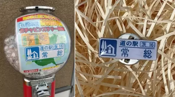 茨城県・道の駅常総が開業から1周年！4月27日(土)～5月6日(月)の10日間で周年祭限定メニューや旬を迎えるメロンの試食会、干し芋の詰め放題など限定イベント多数の1周年祭を開催！