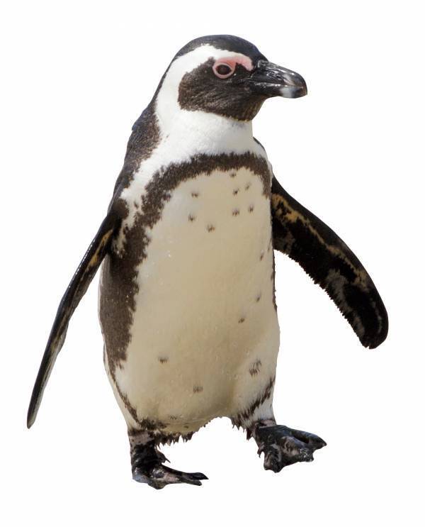 【あべのハルカス近鉄本店】ゴールデンウィーク特集