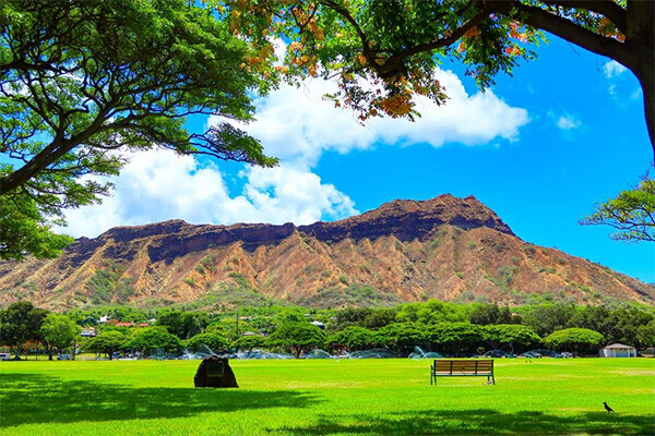 ハワイ旅行経験者は約4割！ ハワイの「どんなところが好き？」～ハワイに関するアンケート結果を阪急交通社が公開～