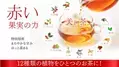 スーパーフード“赤い果実”の力！12種類の植物をブレンドした健康茶「美jin茶」登場！Makuakeにて5月15日から先行販売開始