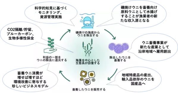 磯焼け対策を目的とした北海道におけるウニ畜養事業に関する連携協定の締結について