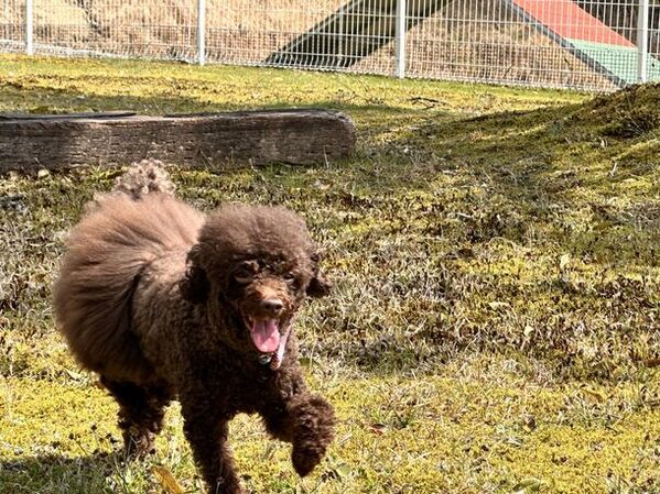 滋賀県甲賀市の会員制アウトドアフィールド～『&Resort-7th sense-』2024年7月に新たにBBQエリアオープン～