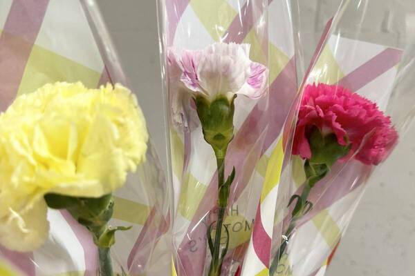 全校児童約460名へカーネーションを贈呈。母の日をテーマにした花育イベントを港区立東町小学校で実施しました。