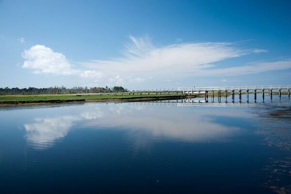 北海道根室市・ねむろ半島遊覧バス「のさっぷ号」運行開始　5月1日(水)～10月31日(木)毎日運行(予約制)！