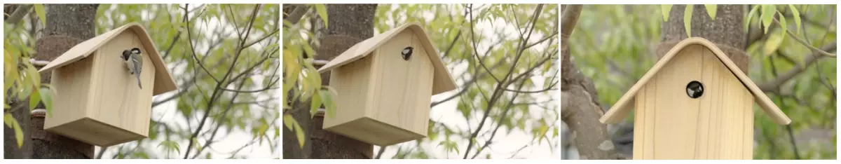 東急不動産が本気で作った鳥の住まい！シジュウカラの巣の誘致に成功！表参道の真ん中でシジュウカラが巣作り。東急プラザ表参道「オモカド」にて“祝営巣”ジャック