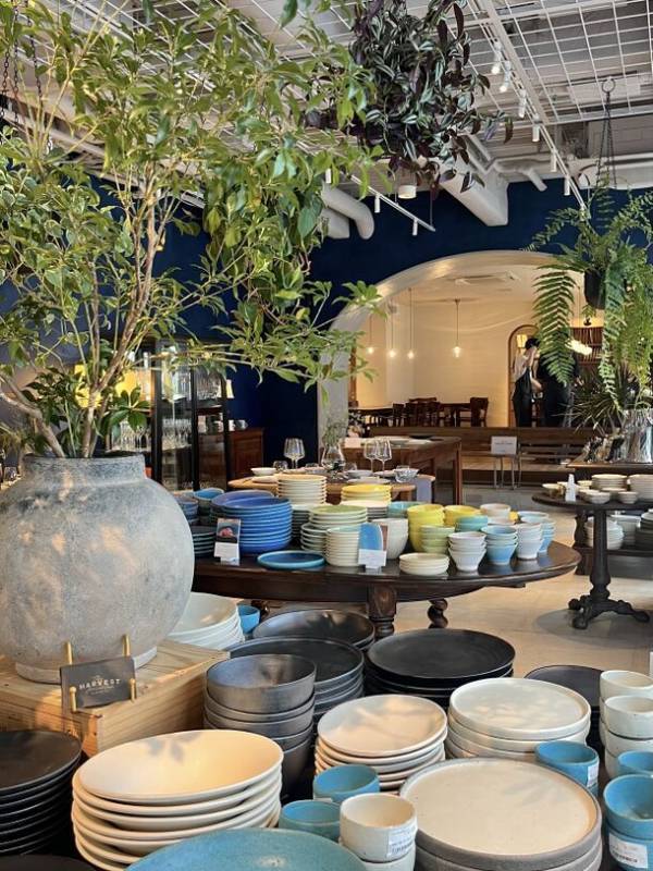 セレクト食器のお買い物とこだわりの食材が楽しめるカフェの複合店「The HARVEST Store & Cafe」が5月9日鎌倉にグランドオープン！