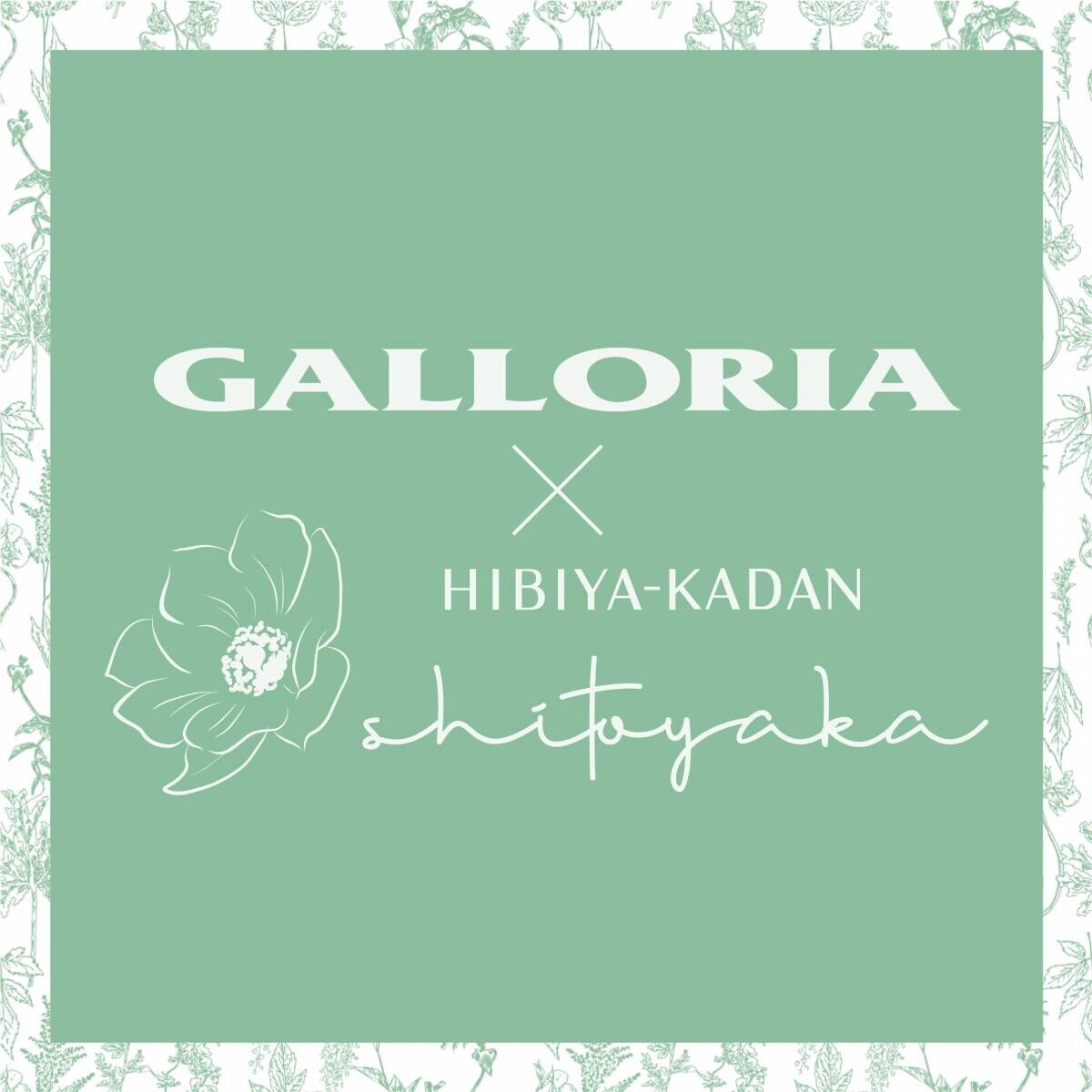 イトーヨーカ堂に「花屋さんのお花柄」を提供。コラボブランド『shitoyaka～しとやか～』の第3弾。服飾雑貨ショップ、生活雑貨、『GALLORIA』コラボアイテムが全国のイトーヨーカドーで発売されました。
