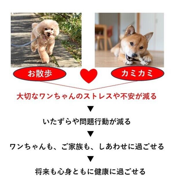 「長く噛む」ことが愛犬の幸福感および集中力の向上に影響することが明らかに！愛犬のこころを読みとくデバイス「イヌパシー」を用いた実験報告レポートを発表