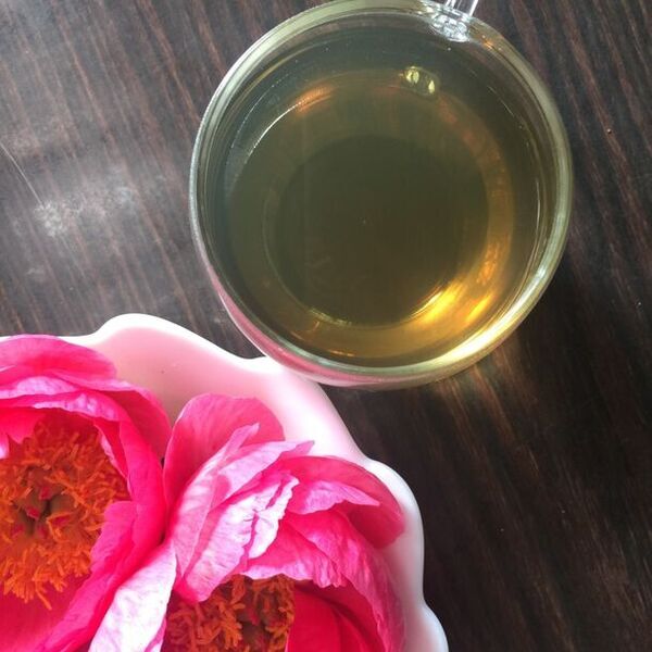 満開のシャクヤクがフィナーレを飾る「つくば牡丹園」　今年も閉園まで残りわずか　「PEONY GARDEN(ピオニーガーデン) 2024」5月19日(日)まで