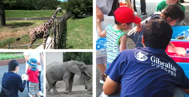 ジブラルタ生命、「ドリームナイト・アット・ザ・ズー」開催動物園・水族館をサポート