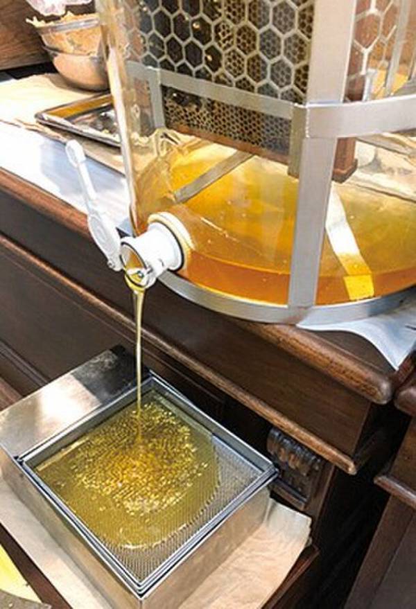 東武百貨店 池袋本店に「チョコミント」や「グリーン」カラーのグルメが大集結！『ENJOY！GREEN』を5月16日(木)から開催