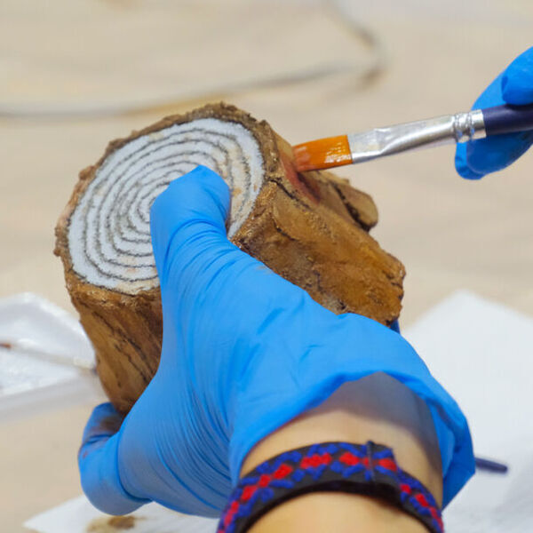 合計3,000ブース！全国から60,000点以上の手づくり作品が集結！「ヨコハマハンドメイドマルシェ2024」6/29(土)30(日)に開催！