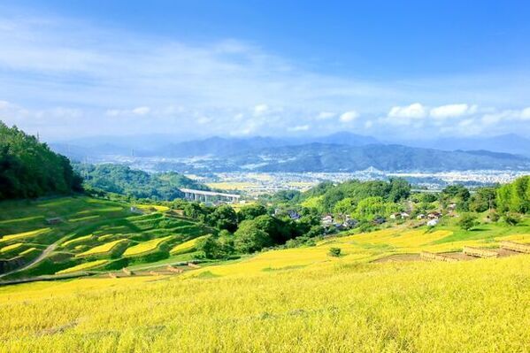 6月6日は家族団らんの日！持ち歩ける2WAYハンカチエプロン『eptenu(R)(えぷてぬ)』を「66家族限定」で6月6日より特別価格にて販売