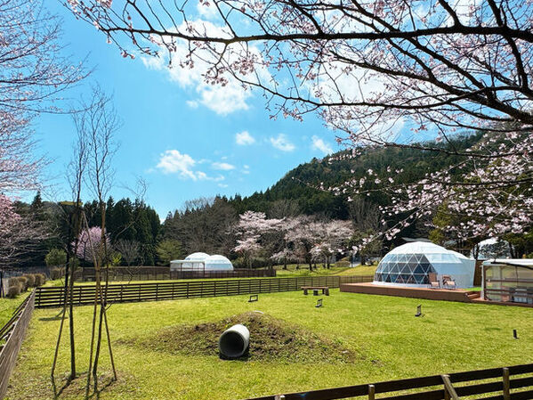 栃木・千葉県民限定！日光でお得にグランピングできる割引プランを5/15より販売開始