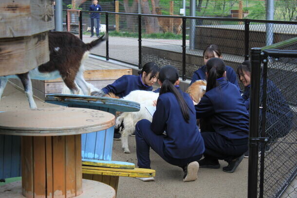 ＜イベントレポート＞盛岡市動物公園ZOOMOで、「ZOOMO 動物たちの身体測定2024」実施　体重約36gのヤマネから約4トンの象まで全7種の動物たちを測定